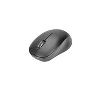 DA-20161 - Souris - ergonomique - optique - 6 boutons - sans fil - récepteur sans fil USB - noir