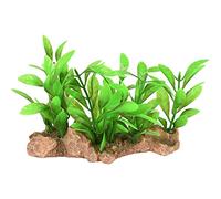 DA Umbra Plantes D'AQUARIUM 15x7x9CM