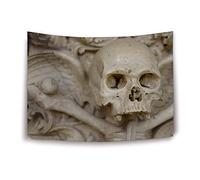 Daawqee Tapisseries Tapestry Wall Hanging Tapestries Plastic Skull Tapestry Wall Blanket Wall Decor Wall Art Home Decor Collage Dorm Decoration