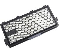 Daaxing 1/2 filtres HEPA pour aspirateur Miele SF-AA 50 C3 Cat & Dog PowerLine Accessoires de rechange, filtre actif Air Clean (1 pièce)