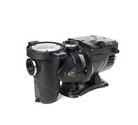 DAB ESWIM 150 M SVRS 1,5 HP Pompe de piscine monophasée électronique à haute efficacité énergétique avec onduleur