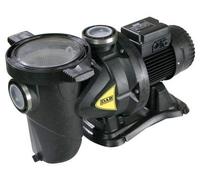 DAB Pompe de piscine Euroswim 100 T Noir en Polypropylène (PP) Moderne 24000 l/h 750 W Pompe à eau