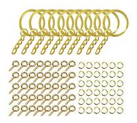 DABAIXIONG 220pcs Anneaux Porte-clés 1 Pouce / 25 Mm pour Les Anneaux Chaîne Clés avec des Anneaux Saut 100pc