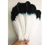 DABIN 10 Pcs Belle Teint Noir Et Blanc Plume Plumes De Dinde 25 cm À 30 cm Plume Vêtements Chapeaux Décoration