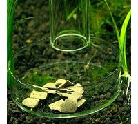 Dabixx Gamelle en acrylique pour aquarium - Pour crevettes