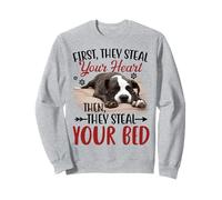 D'abord, ils volent votre cœur, puis volent votre lit Pitbull Sweatshirt