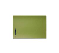 Dacasso Papier buvard vert 25,5 x 17,25 cm