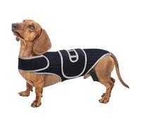 Dachshund Back Brace - Adjustable Spinal Stability Wrap