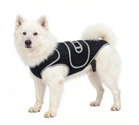 Dachshund Back Brace - Adjustable Spinal Stability Wrap