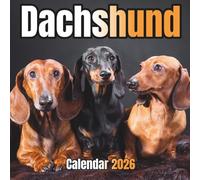 Dachshund Calendar 2026: 14-Month Organizer from Nov 2025 to Dec 2026 | Perfect for Home, Office, School & Family Scheduling, For Men , Women , Girls , Boys