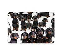 Dachshund Weiner Paillasson pour chien de compagnie, 40,6 x 61 cm, facile à nettoyer, résistant à la saleté, durable
