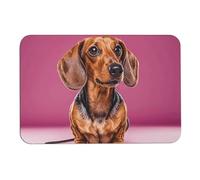 Dachshund Weiner Tapis de bain avec dos en caoutchouc antidérapant pour salle de bain, baignoire, douche, évier