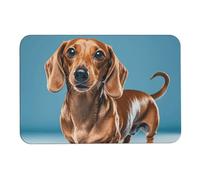 Dachshund Weiner Tapis de bain en forme de diatomée pour animal domestique absorbe l'humidité et la saleté, avec dos en caoutchouc antidérapant, tapis de sol pour salle de bain, baignoire, douche