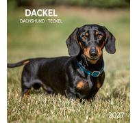 Dackel / Dachshund 2027: Kalender 2027