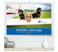 Dackel unterwegs (hochwertiger Premium Wandkalender 2026 DIN A2 quer), Kunstdruck in Hochglanz: Dackel auf Reisen zu Lande, zu Wasser und in der Luft!
