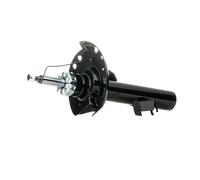 DACO Germany 452507L Amortisseur