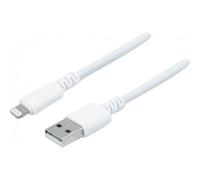 DACOMEX - Câble Lightning - USB mâle pour Lightning mâle - 2 m - blanc