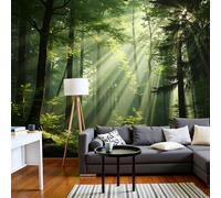 DACRWEKZ Papier Peint Intissé Forêt de lumière et d'ombre En Vert 250x175cm Papier Peint Photo Panoramique Brume matinale, arbres, rayons de lumière, Poster Geant Mural Personnalisé 3D