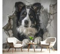 DACRWEKZ Papier Peint Panoramique 3D Soie, 400 x 280 cm Animaux 3D Border Collie mignon, pour Salon, Chambre d'enfant, Chambre Décoration Poster Papier Peint