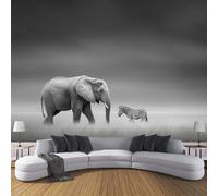 DACRWEKZ Papier Peint Panoramique Animaux simples,250x175cm, Poster Geant Mural, pour Salon Chambre d'enfants restaurant Décoration Murale,Éléphant Zèbre