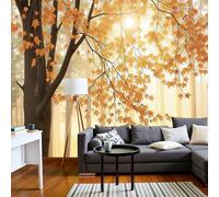 DACRWEKZ Papier Peint Panoramique Forêt d'automne Soie, 250x175cm - Papier Peint La lumière du soleil filtre à travers la fine brume Grandes Murales Poster pour Salon, Adulte Chambre d'enfants