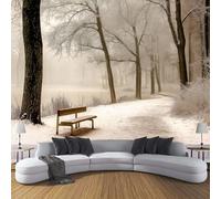 DACRWEKZ Papier Peint Panoramique style simple et naturel, Papier Peint Mural Photo Motif Paysage Scènes d'hiver blanc grisâtre, Tapisserie Panoramique Salon, Décoration Murale Chambre, 150 x 105 cm