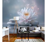 DACRWEKZ Papier Peint Panoramique style zen, Papier Peint Mural Photo Motif Paysage Pierre de lotus Gris clair, Tapisserie Panoramique Salon, Décoration Murale Chambre, 200x140cm