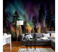 DACRWEKZ Papier Peint Paysages naturels, Papier Peint Aurore boréale enveloppe la forêt Vert Pour Salon Chambre Bureau Couloir, Décoration Murale Poster Intérieure, 200x140cm (L X H)