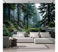 DACRWEKZ Papier Peint Soie Panoramique sentiers forestiers, 400x280cm,paysages naturels Mural Personnalisé, vert foncé, pour Salon Chambre restaurant Décoration Murale