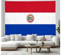 DACRWEKZ Tapisserie Style classique et digne pour chambre à coucher, esthétique, rétro, Drapeau du Paraguay Rouge et bleu, extra large, tapisserie murale pour dortoir, salon, 100 x 70cm