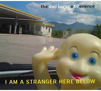 Dad Horse Experience,the - I am a Stranger Here Below [Import]