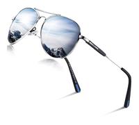 DADA-PRO Lunettes de soleil polarisées pour homme et femme - Lunettes de soleil rétro pour cyclisme, conduite, golf - Protection UV 400 (Argenté)
