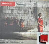 D'adamo, Sur Vestiges