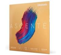 D'Addario A310 1/16M - Jeu de cordes violon 1/16 Ascenté, Medium