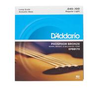 D'Addario – Jeu de cordes pour basse acoustique EPBB170 – Bronze phosphoreux 45-100 4 cordes longues