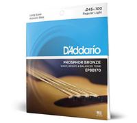D'Addario EPBB 170