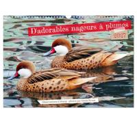 D'adorables nageurs à plumes (Calendrier mural 2027 DIN A3 vertical), CALVENDO calendrier mensuel: Des oiseaux aquatiques dans leur élément
