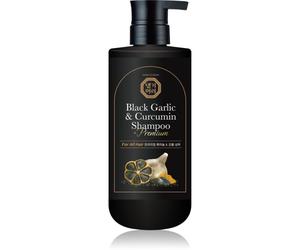 DAENG GI MEO RI Black Garlic & Curcumin Shampoo shampoing régénérateur en profondeur pour stimuler la repousse des cheveux et renforcer les racines 500 ml