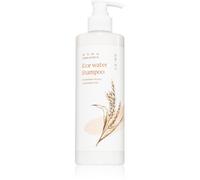 DAENG GI MEO RI Rice Water Shampoo shampoing nourrissant anti-pelliculaire 400 ml