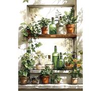 DAERLE Diamond Painting Plantes en pot aquarelle, Peinture Diamant Belle vue, Diamant Painting Kit, Broderie Diamant Kit Complet Convient Pour La Décoration Murale à La Maison 30x40cm