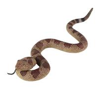 DAGLLGEW Boîte à farces Surprise et horreur, jouets réalistes en forme d'insecte serpent, farces créatives et ennuyeuses pour les décorations de cadeaux de fête, jour du poisson d'avril