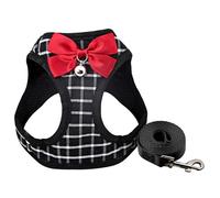 DAGLLGEW Ensemble Harnais et Laisse pour Chat, Harnais Respirant et Confortable pour Chien XXS avec nœud Clochette, réglable antidérapant pour Chiot, Chaton, Lapin, pour Chien XXS, pour