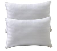 DAGLLGEW Lot de 2 oreillers de lit, oreillers d'hôtel Luxe, Doux et ergonomiques, Coussin Moelleux et Frais pour Le Dos, Le Ventre Les dormeurs latéraux, en Duvet 50 x 80 cm, Oreiller r