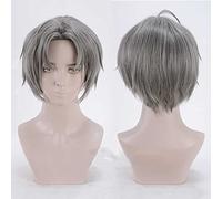 Dagua Perruque Cosplay Anime,Sarazanmai Mabu Akutsu Perruque,Grey Short Perruque,avec Filet de Cheveux Gratuit,pour Fête Carnaval Halloween Perruques
