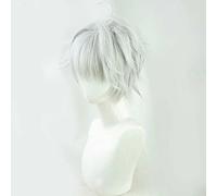 Dagua Perruque Cosplay Anime，World's Finest Assassin Lugh Tuatha Dé Perruque，Silver Short Perruque，avec Filet de Cheveux Gratuit，pour Fête Carnaval Halloween Perruques
