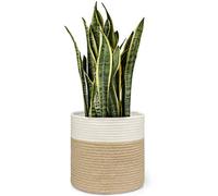 Dahey Panier de Rangement en Corde de Coton tressé Moderne pour Pot de Fleurs de 25,4 cm x 27,9 cm Motif Rustique Blanc et Beige