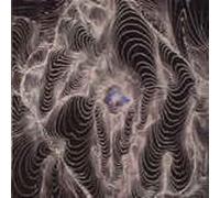 Dahga Bloom - No Curtains