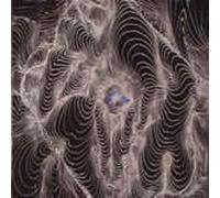 DAHGA BLOOM No Curtains (Vinyl)
