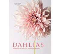 Dahlias