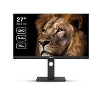 Moniteur DAHUA 27" QHD IPS Wide Color GAMUT 65W Type-C
